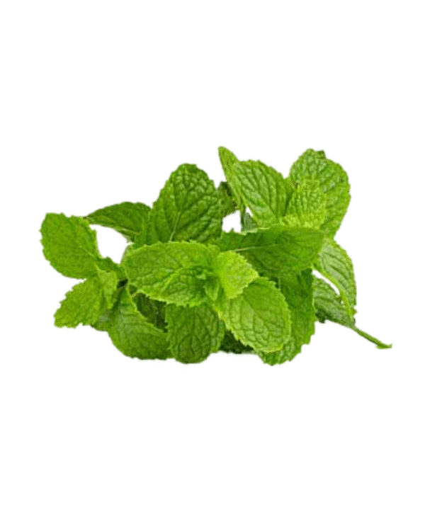 Mint leaves