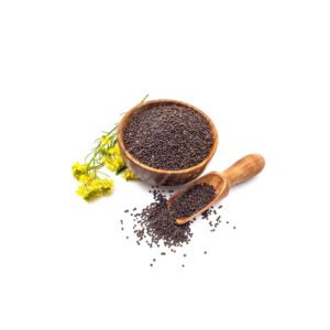 Mustard Seed Bold India 15-Kg Bag