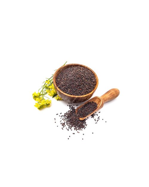 Mustard Seed Bold India 15-Kg Bag