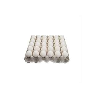 Egg India (Medium)